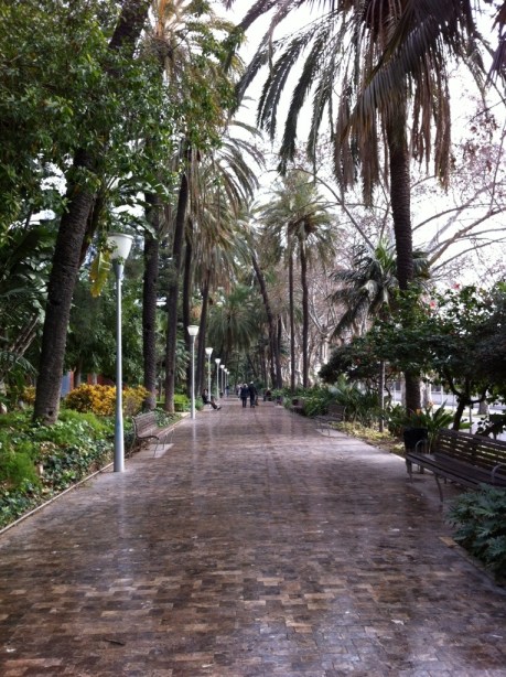 20140202-144140.jpg