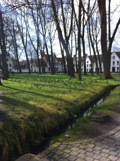 20140404-202418.jpg